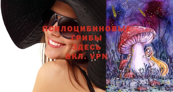 MDMA Ельня